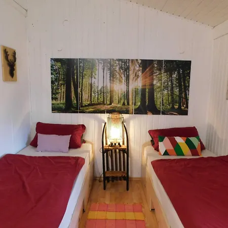 Bussard בית נופש Gammelsbach